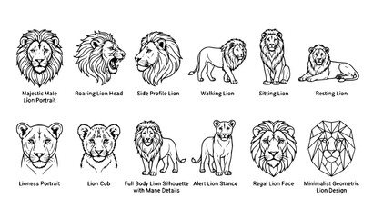 Lion Line Art Vector Collection with Detailed Wild Cat Illustrations Isolated on White Background © Romjan 