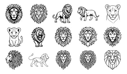 Detailed Lion Line Drawing Collection Featuring Wild Cat Vector Illustrations on White Background © Romjan 