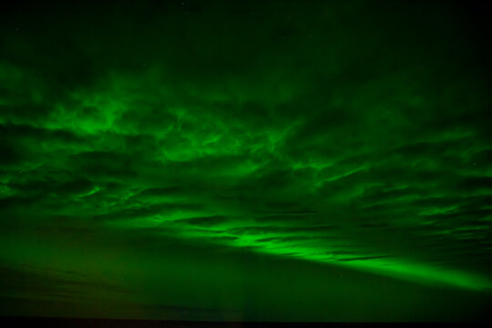 Emerald aurora and patterned night clouds lit up the horizon over open sea in Greenland