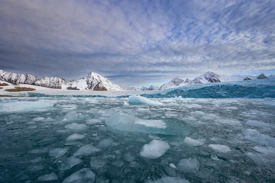 Chunks of ice float across the water in Alpefjord surrounded by mountains in Greenland