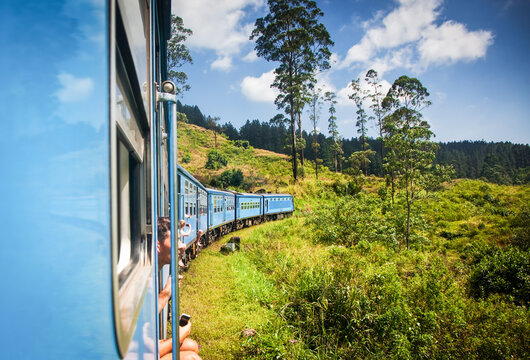 Train travels through tea plantations in the highlands of Sri Lanka with a scenic view from the window