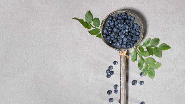 Top view from fresh Vaccinium myrtillus, wild blueberry blueberries  in a old vintage soup ladle