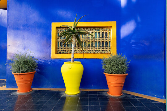 Tropical flowers in bright pots against a blue background with a decorative window design in Morocco