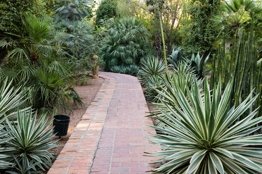 Exotic garden features palms and cacti along a pathway in Marrakesh, Morocco, showcasing diverse plant life and landscaping