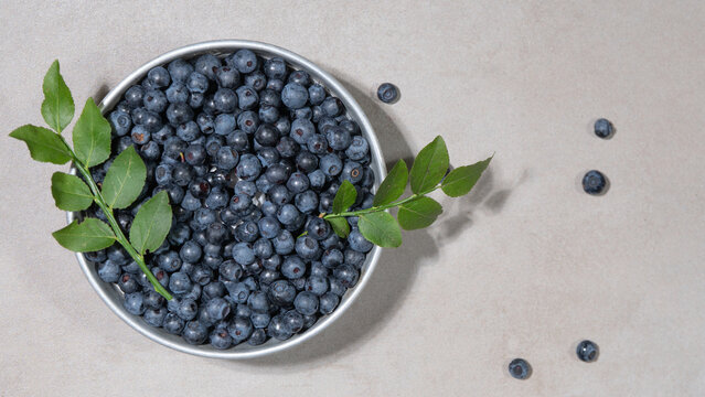 Top view from fresh Vaccinium myrtillus, wild blueberry blueberries and green leaves in a bowl on a concrete table