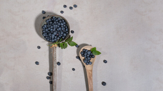 Top view from fresh Vaccinium myrtillus, wild blueberry blueberries  in a old vintage soup ladle