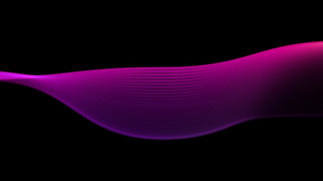 Multicolored waves on a black background. Colorful circular vector wave. Linear wave, flow graphic shape. Digital, smooth water surface background.