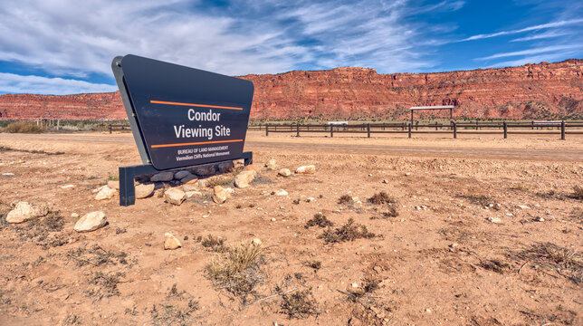 Visit Condor Viewing Site located on House Rock Road in Vermilion Cliffs National Monument in Arizona