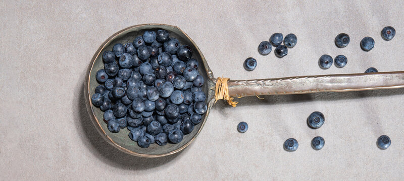 Top view from fresh Vaccinium myrtillus, wild blueberry blueberries  in a old vintage soup ladle