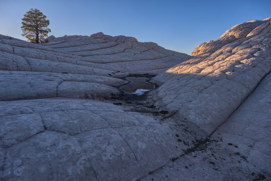 Colorful sandstone formations display unique patterns at White Pocket during sunset in Arizona's Vermilion Cliffs National Monument