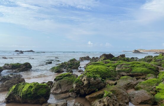 A powerful low tide transforms the wild Atlantic shoreline, revealing moss-covered rocks usually hidden beneath the water and exposing the natural contours of the coast.