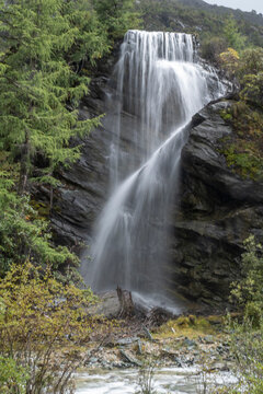 Water flows down rocky cliffs surrounded by pine trees in a nature reserve located in Sichuan, China