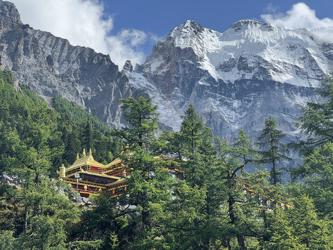 Chonggu Monastery stands in pine forest beneath snow-capped peaks in Yading Nature Reserve, Daocheng, Sichuan, China