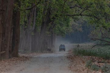 Safari jeep vehicle running at grassland of Dhikala zone in corbett national park. © Abhishek Mittal