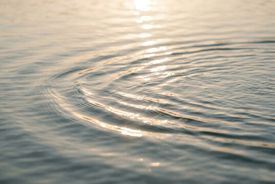 Gentle ripples on the water surface from a light splash, reflecting the warm golden glow of the sunset and creating calm atmosphere