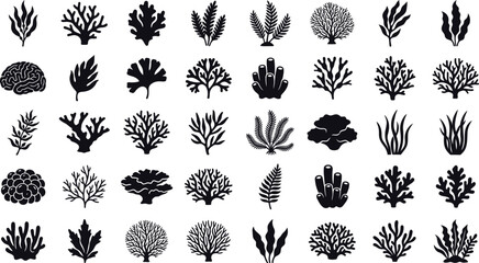 Collection Of Black Coral Silhouettes On A White Background © Noyon