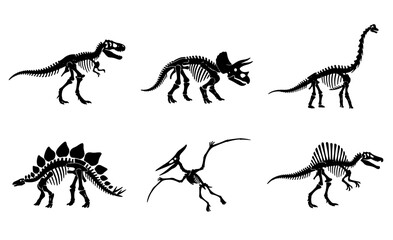 Collection of six dinosaur skeletons, including tyrannosaurus rex, triceratops, brachiosaurus, stegosaurus, pterodactyl, and spinosaurus Vector © MSTRANI