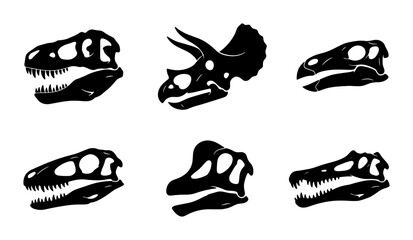 Collection of six dinosaur skulls silhouettes on white background Vector © MSTRANI