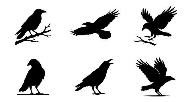 70 Raven Silhouettes Collection: Perched, Flying, and Standing Bird Icons for Gothic and Nature Designs 100
