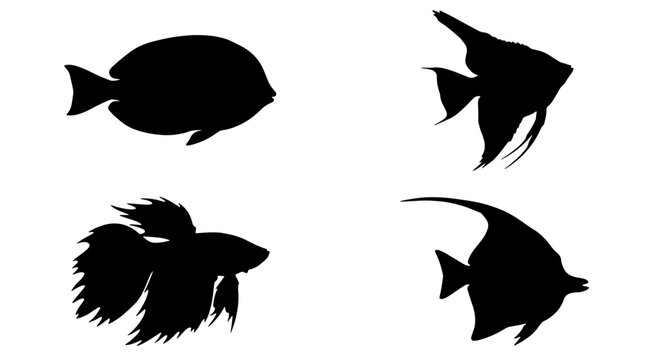 70 Set of Four Black Silhouette Aquarium Fish Vector Icons, Marine Life Aquatic Animals Collection, Underwater Creatures Simple Graphics 100