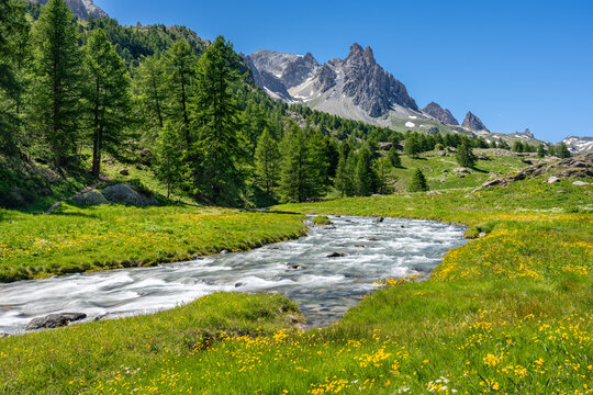 Claree Valley in summer with wildflower meadow and river stream. Cerces Massif with Main de Crepin mountain peak. French Alps, Hautes-Alpes, France