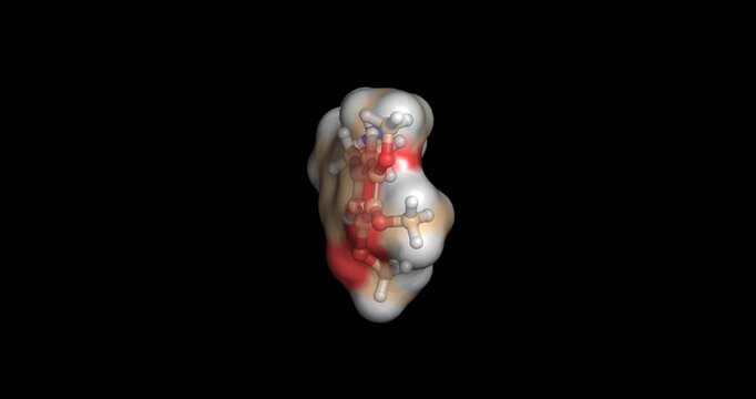 Mescaline, psychoactive alkaloid found in peyote cacti, 3D molecule 4K spinning