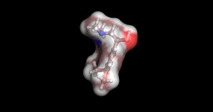 Macromerine, psychoactive alkaloid found in coryphantha cacti, 3D molecule 4K spinning