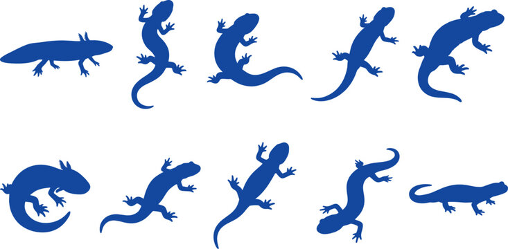Blue newt and salamander silhouette bundle illustrating crawling amphibians on transparent background