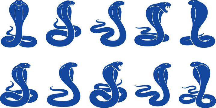 Blue cobra snake silhouette collection displaying various rearing and hooded reptile poses on white