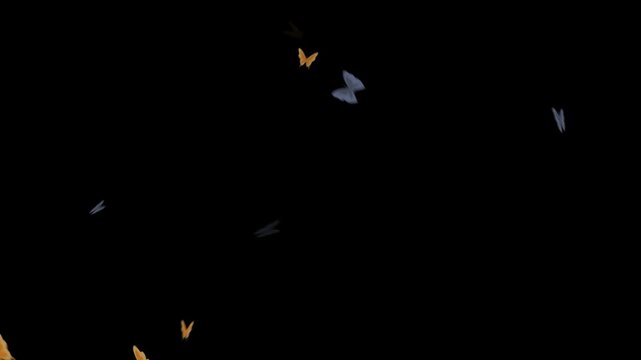 Butterflies flutter across a dark void in a whimsical display of motion and natural grace.