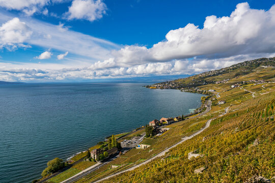Vineyards and towns descend hills to Lake Geneva in autumn in Veytaux, Vaud, Switzerland