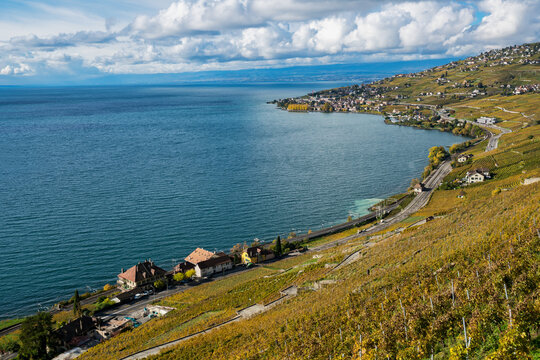 Vineyards and villages overlook Lake Geneva in autumn near Veytaux in Vaud, Switzerland