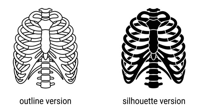 Rib Cage Anatomy: Two detailed depictions of the human rib cage, one as a clear outline and the other as a stark silhouette, illustrating the thoracic skeletal structure.