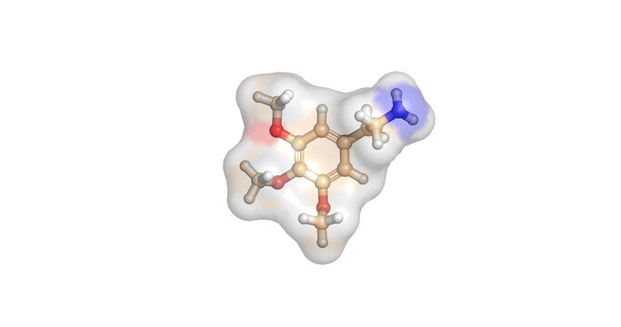 Mescaline, psychoactive alkaloid found in peyote cacti, 3D molecule 4K