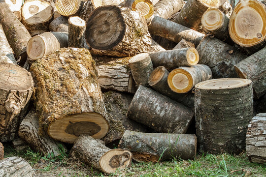 Stack of Freshly Cut Firewood Logs Outdoors