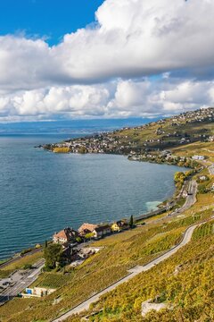 Lavaux vineyards and Swiss villages grow on hillsides by Lake Geneva during autumn season in Switzerland