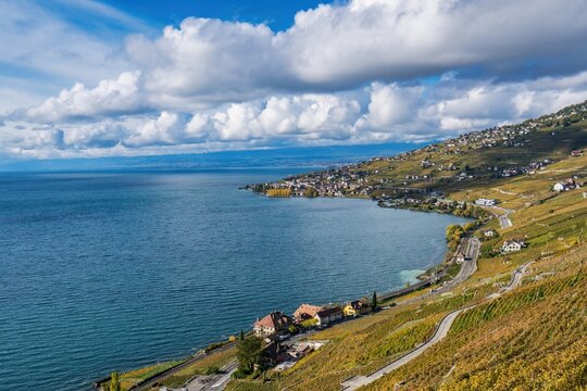 Lavaux vineyards and Swiss villages overlook Lake Geneva during autumn in Veytaux, Vaud, Switzerland