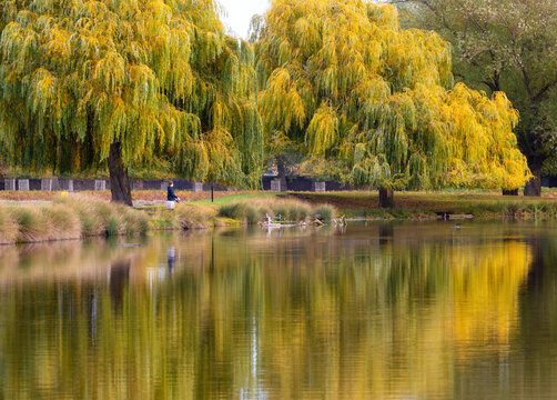 Man fishing at Leg of Mutton Pond in autumn while trees reflect on water in London, United Kingdom