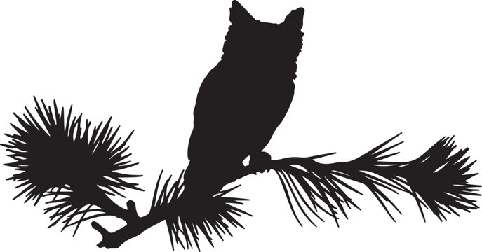 Eastern Screech-Owl 
silhouette collection vector bird wildlife design.