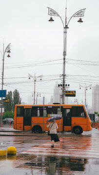 A woman holding an umbrella walks across a wet pedestrian crossing on a rainy day, with a yellow city passenger bus in the background.
