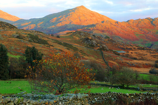 Mountains displayed in changing light near Eskdale in the Western Lake District of Cumbria at sunset