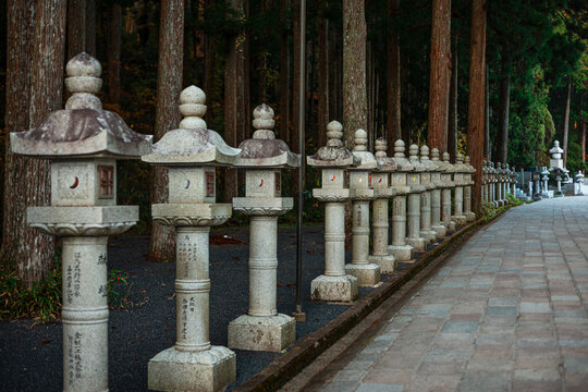Stone lanterns line the path through cedar trees at a historic Buddhist temple in Koyasan, Japan