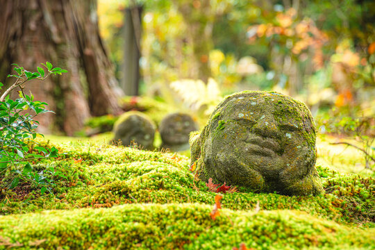 Smiling Jiz statues in a moss-covered garden at a temple in Japan
