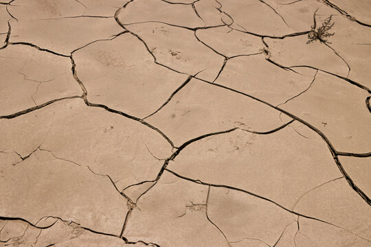 Detailaufnahme einer rissigen Bodenstruktur aus ausgetrocknetem Lehm in der W&uuml;ste bei Swakopmund, Namibia.