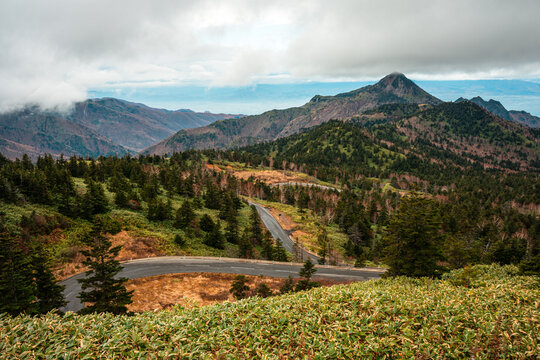 Explore mountain road and view in Joshinetsu Kogen National Park, Japan while driving on Shiga Kusatsu Kogen Route near mountains and trees