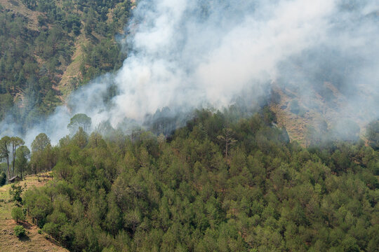 Aerial view of a wildfire burning through a dense pine forest in the mountain, creating a large cloud of white smoke that drifts across the slopes.
