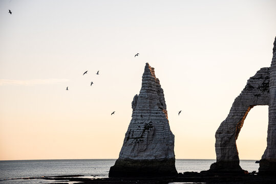 Seagulls flying around the Needle and arch at sunrise in Etretat, Normandy with ocean view
