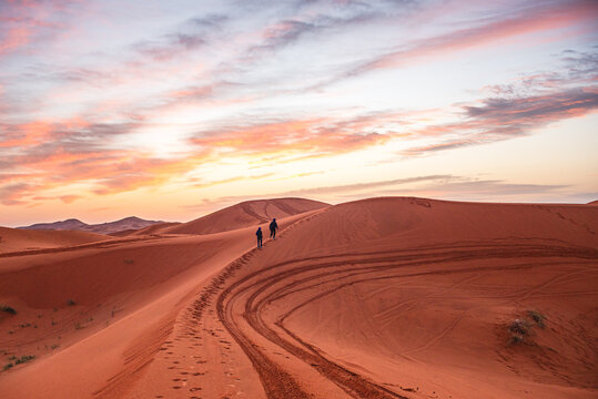 Travelers walk on sand dunes at sunrise in the Sahara Desert near Merzouga in Morocco while the sun rises in the sky