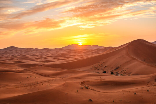 Sunrise illuminating golden dunes of Erg Chebbi in southeastern Morocco, showcasing vast desert landscape