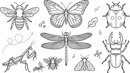 Garden insects and bugs line art vector icons set featuring butterfly bee dragonfly ladybug stag beetle and praying mantis © vector design 